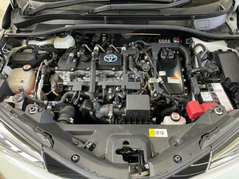C-HR-19