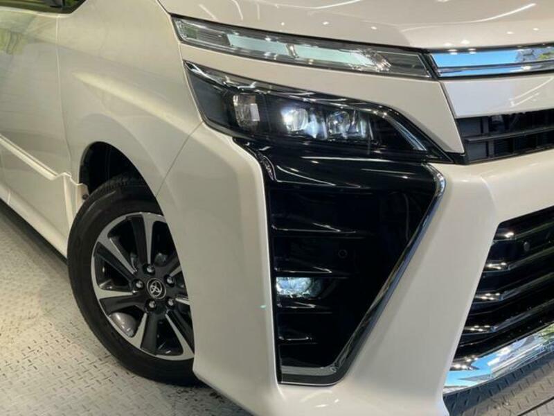 VOXY-12