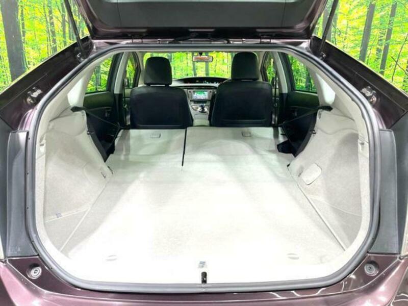 PRIUS-10