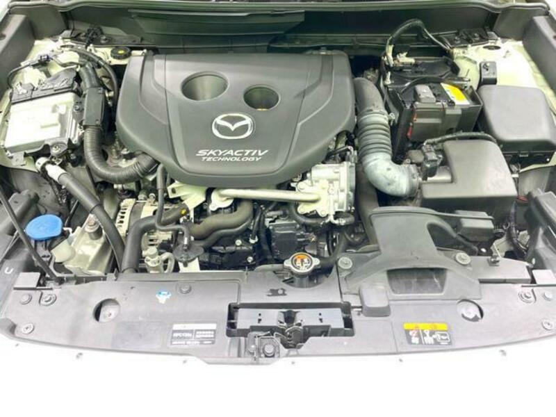 CX-3-17