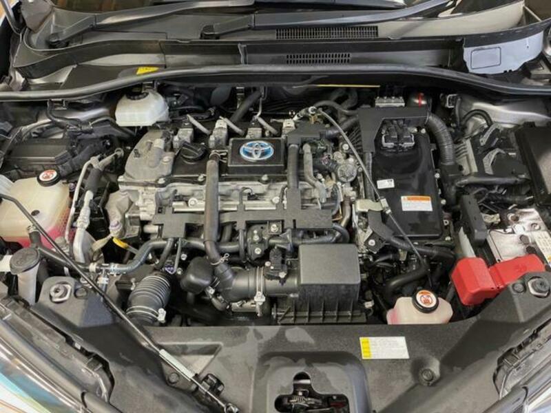 C-HR-19