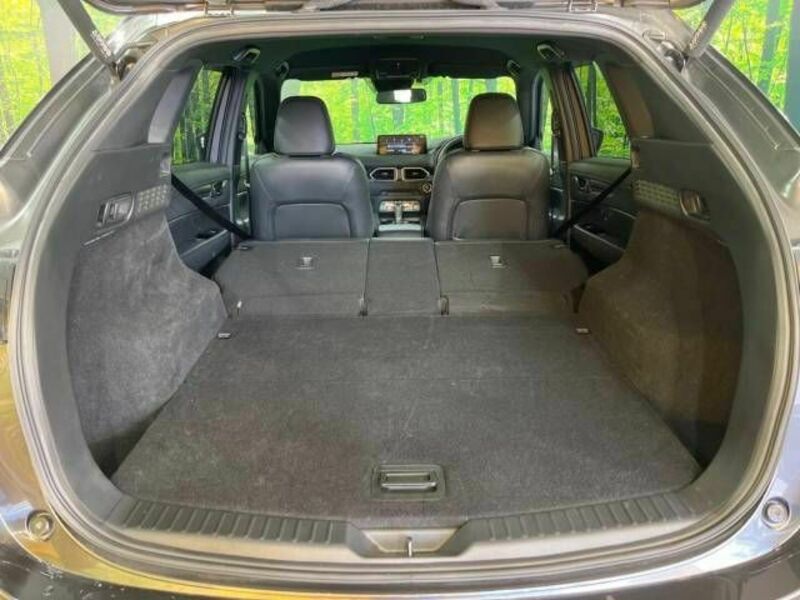 CX-5-11