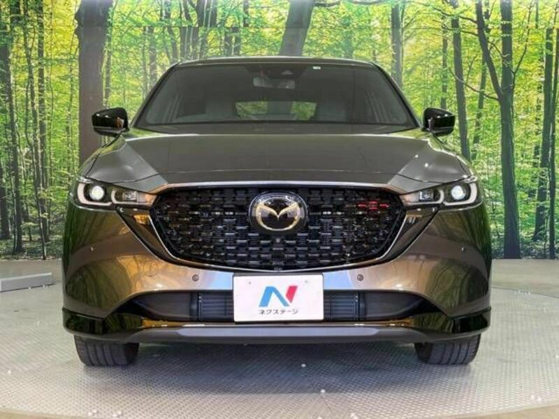 CX-5-14