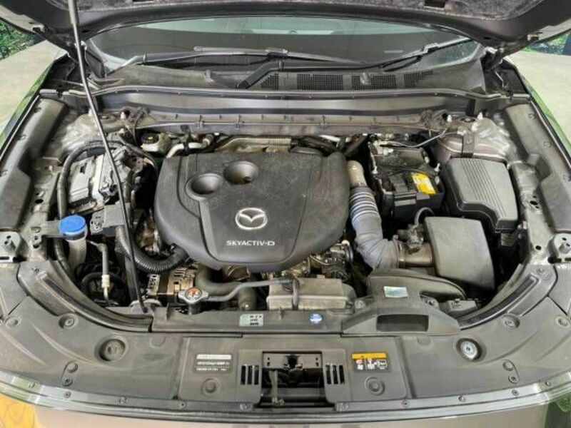 CX-5-18