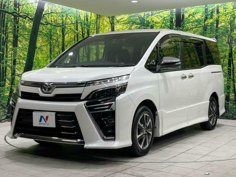 VOXY-17