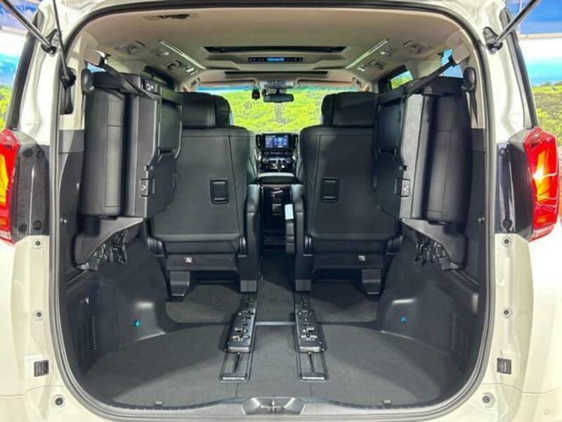 ALPHARD-10