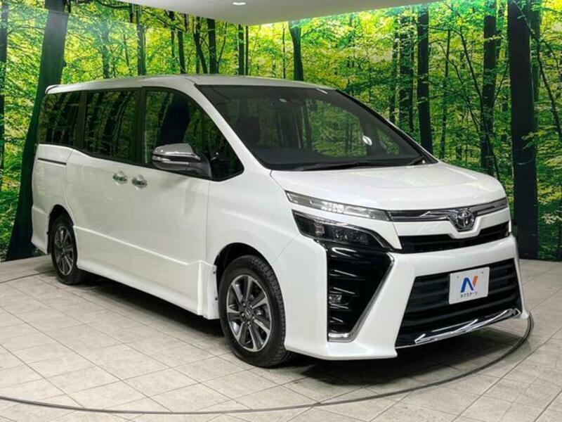 VOXY-17