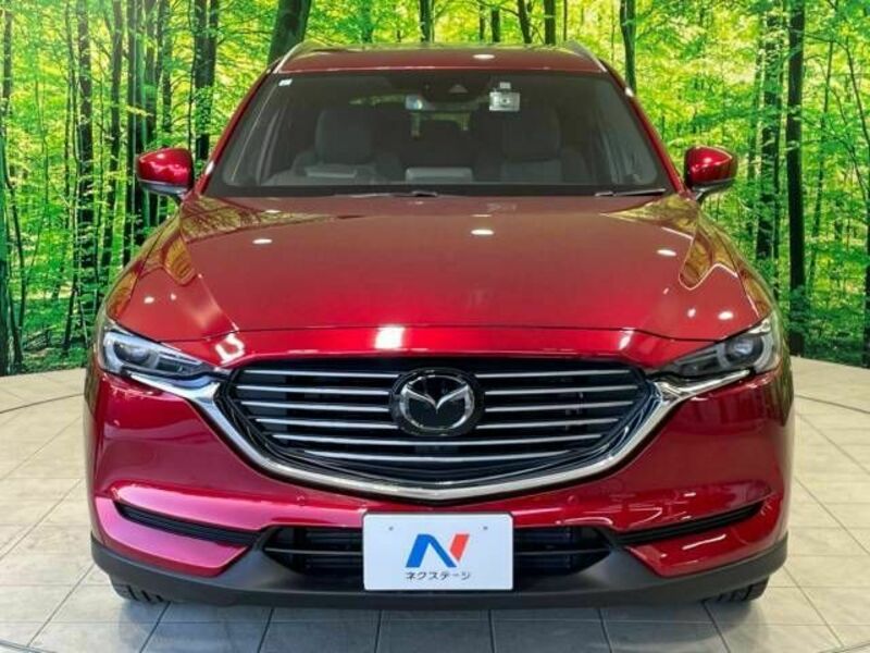 CX-8-13