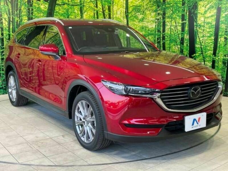 CX-8-15