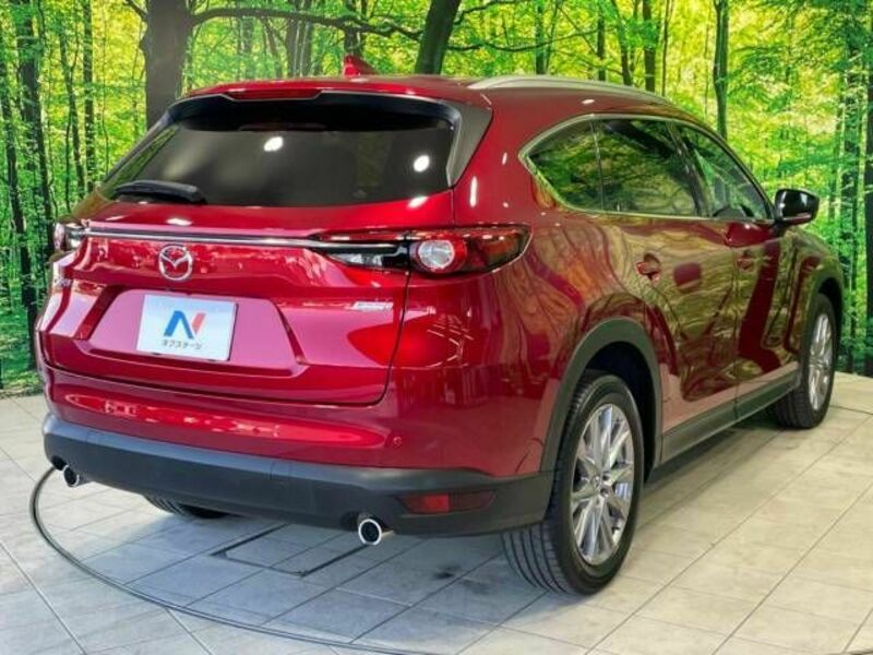 CX-8-16