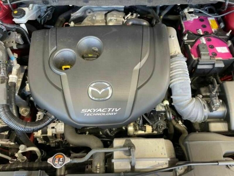 CX-8-17