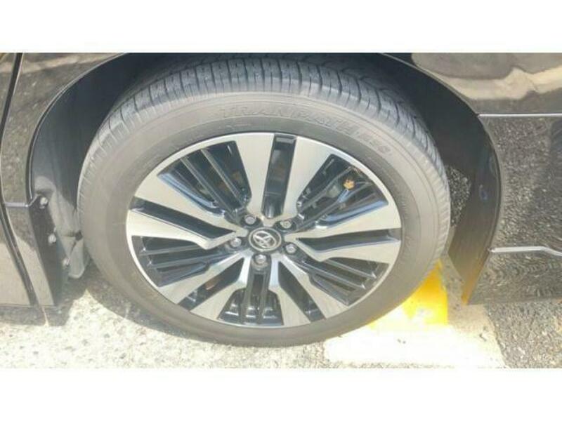ALPHARD-6