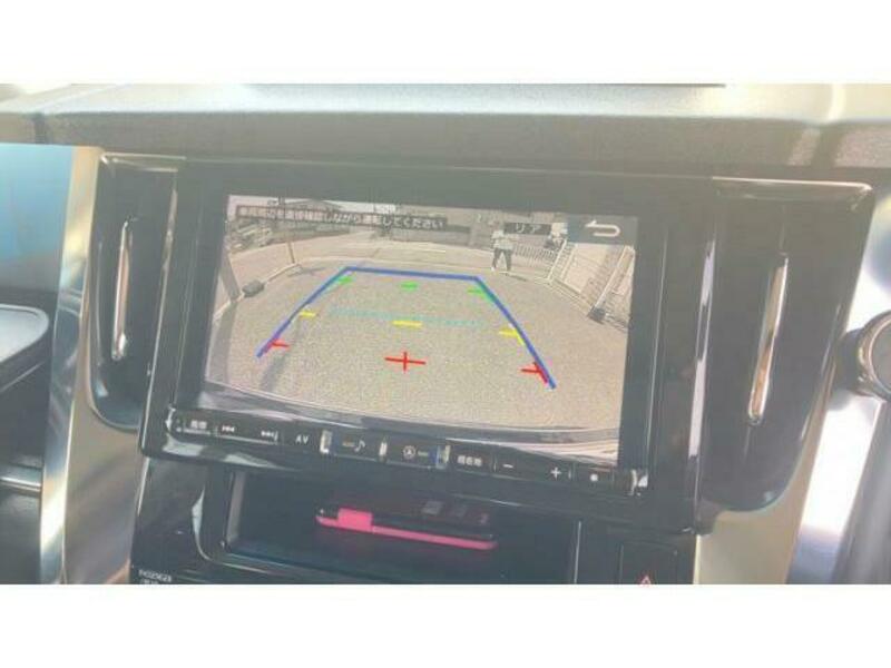 ALPHARD-11