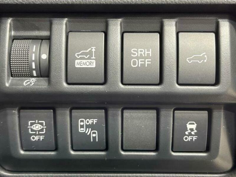 FORESTER-4