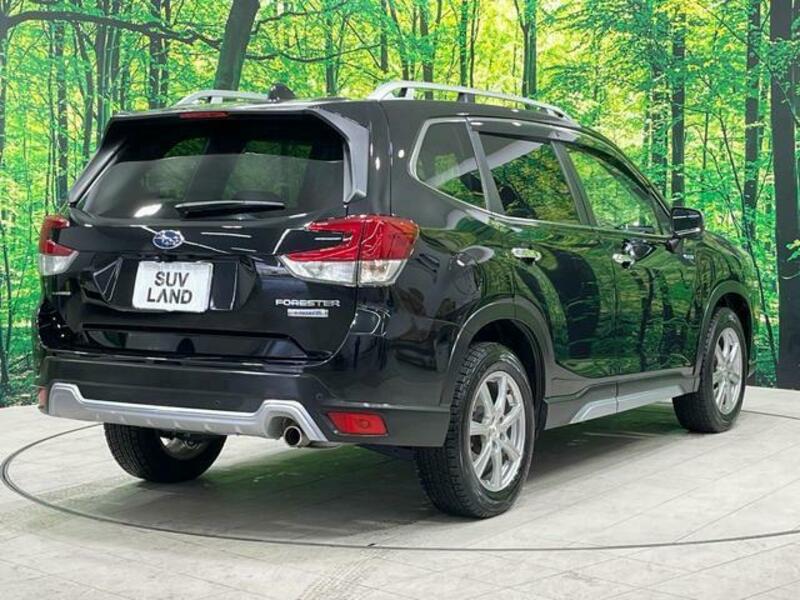 FORESTER-16
