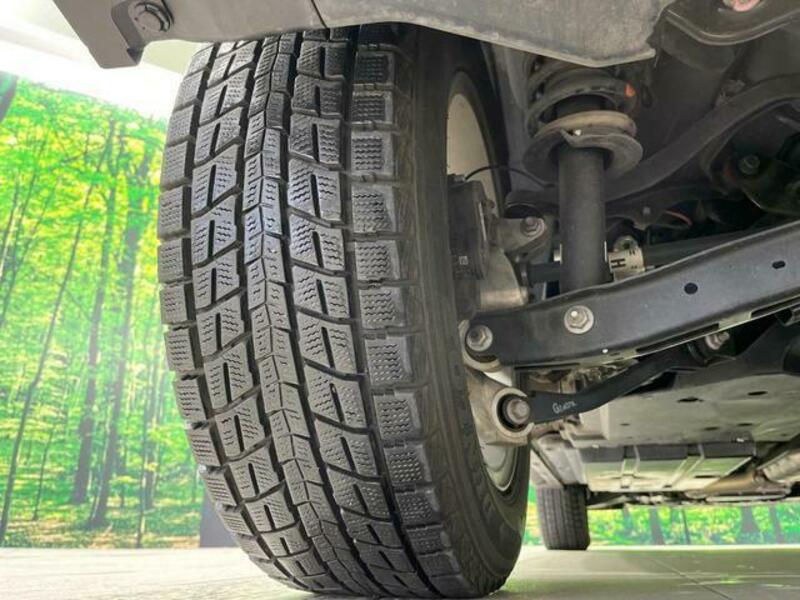 FORESTER-19