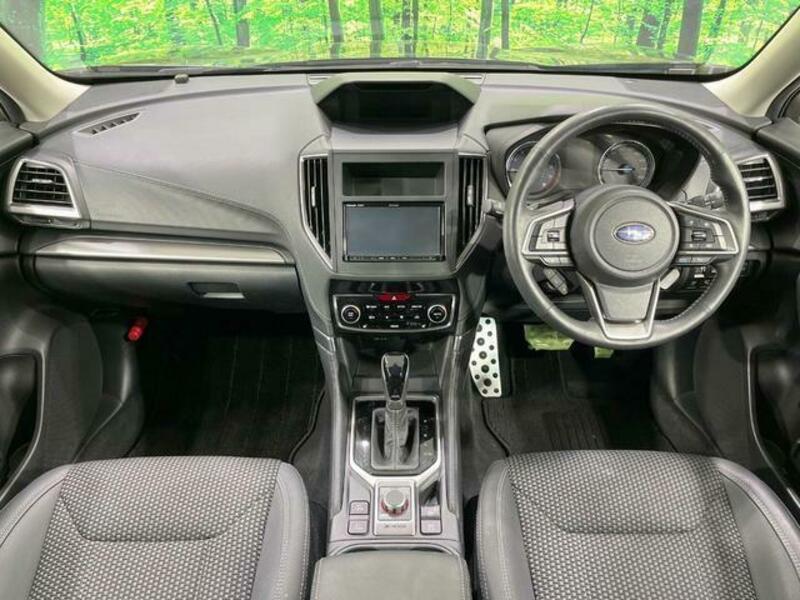 FORESTER-1