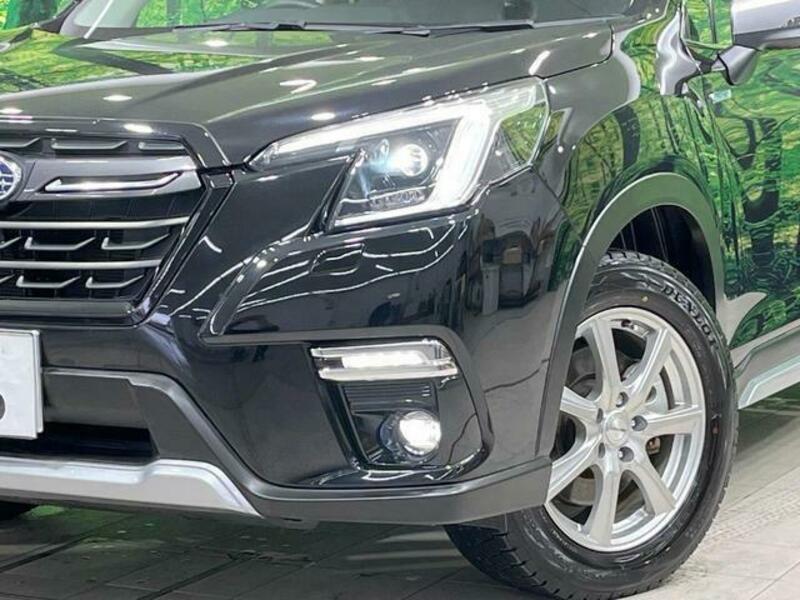 FORESTER-11