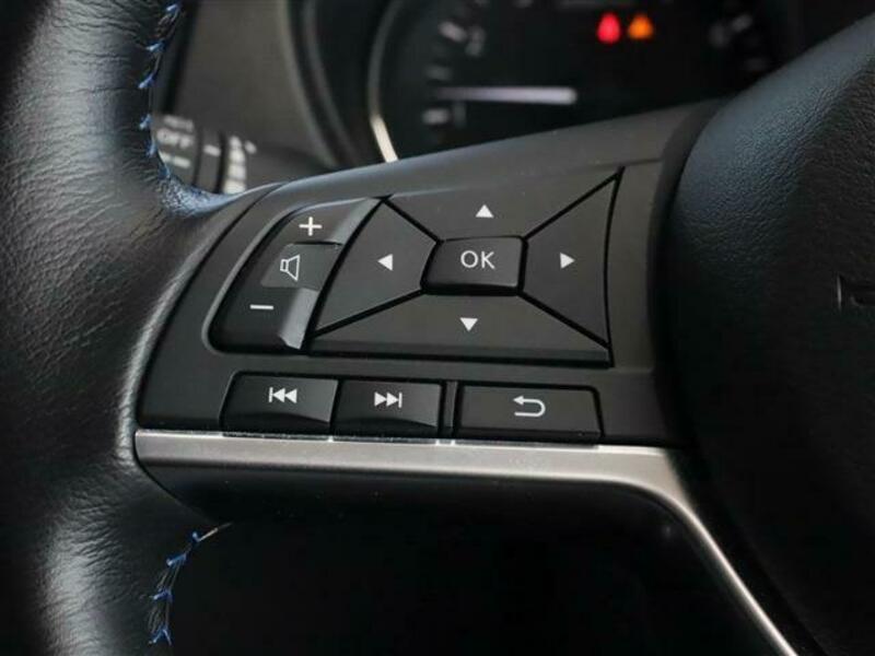 X-TRAIL-15