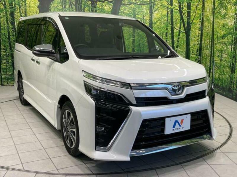 VOXY-17