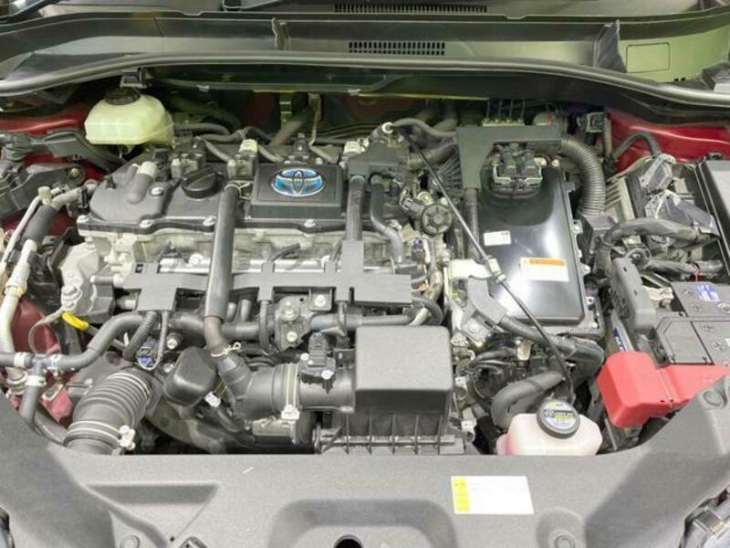 C-HR-17