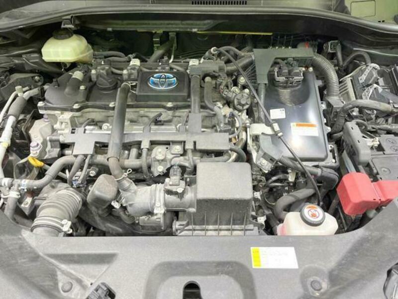 C-HR-18