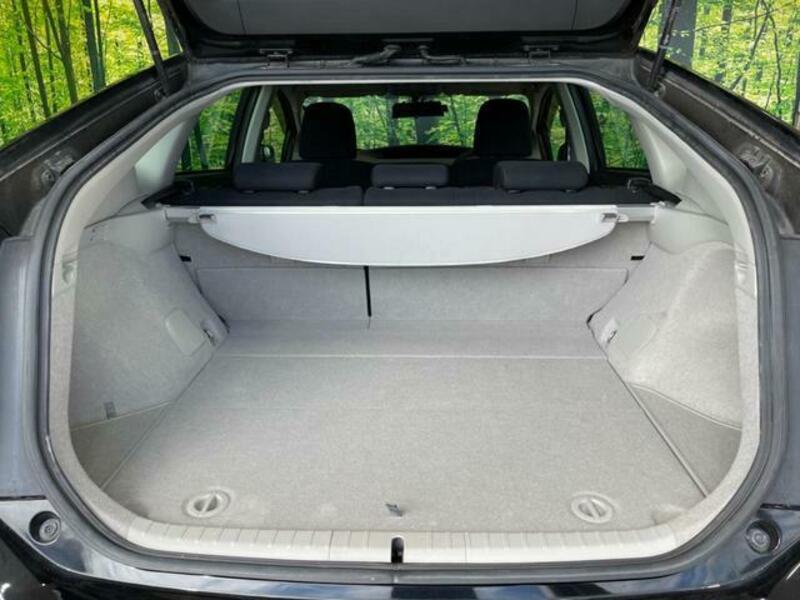 PRIUS-10
