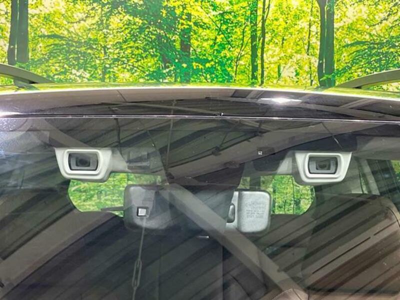 FORESTER-4