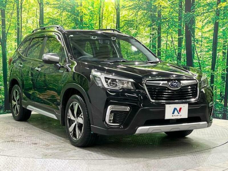 FORESTER-16