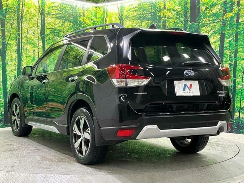 FORESTER-17