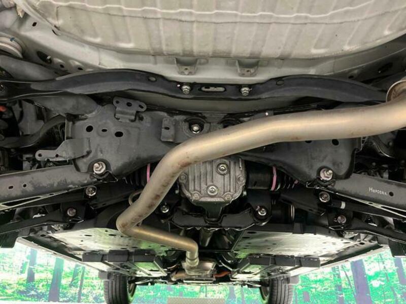 FORESTER-19