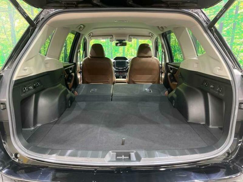 FORESTER-10
