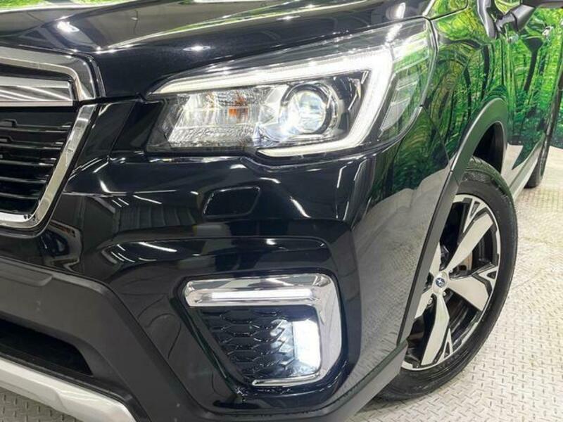 FORESTER-12