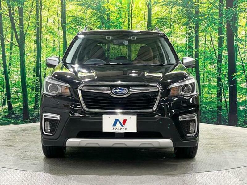 FORESTER-14