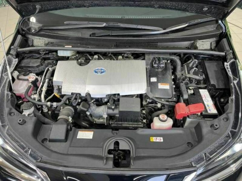 PRIUS-17