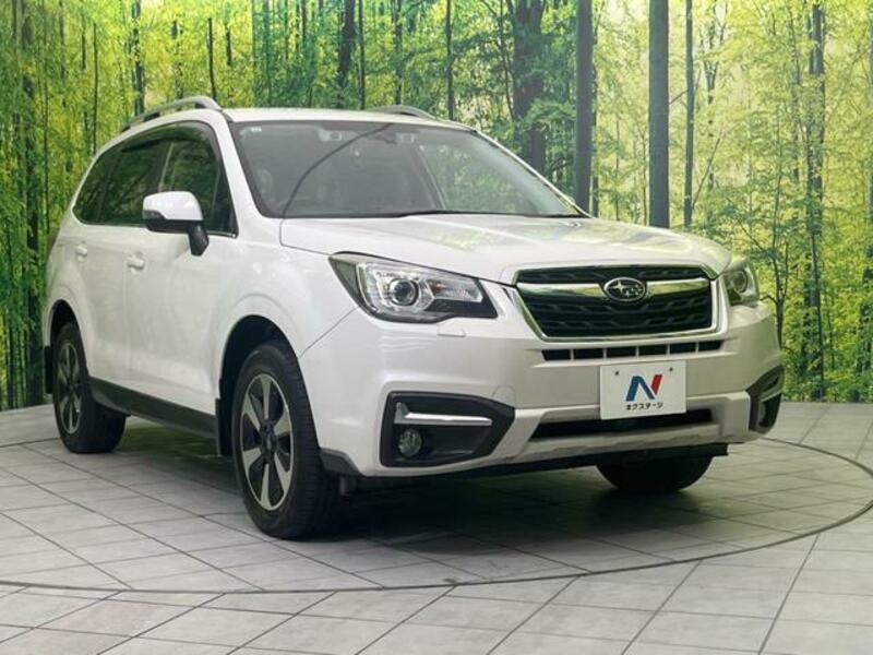 FORESTER-15