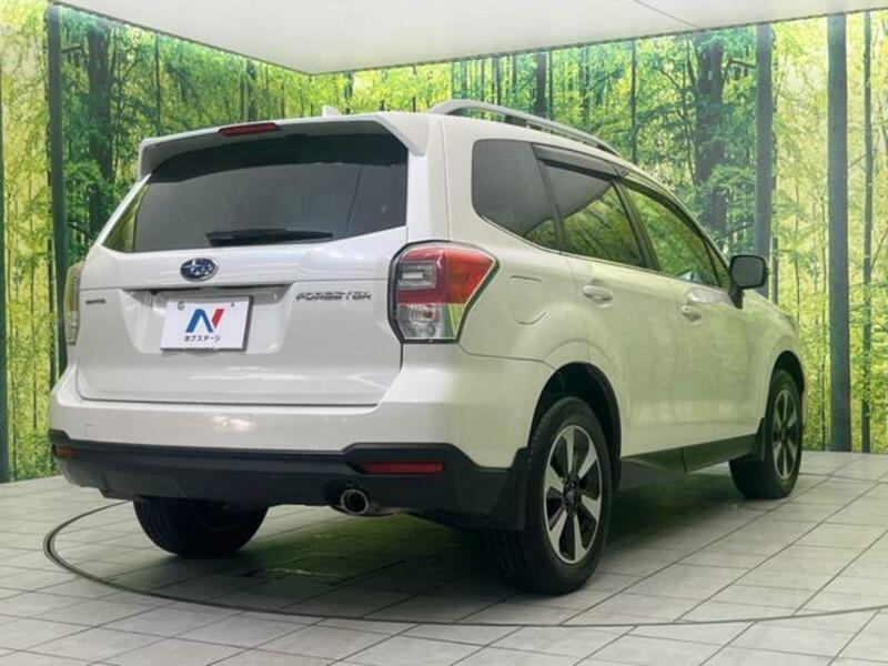 FORESTER-16