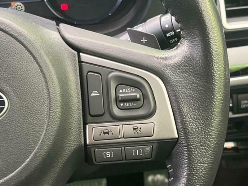 FORESTER-5