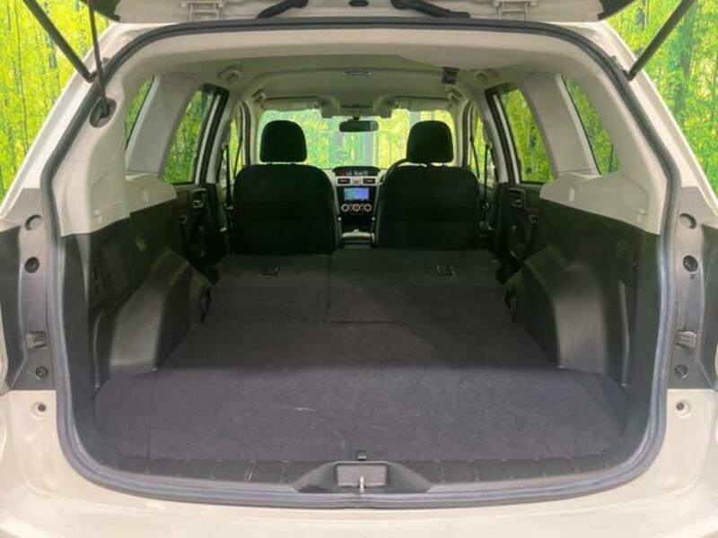 FORESTER-9