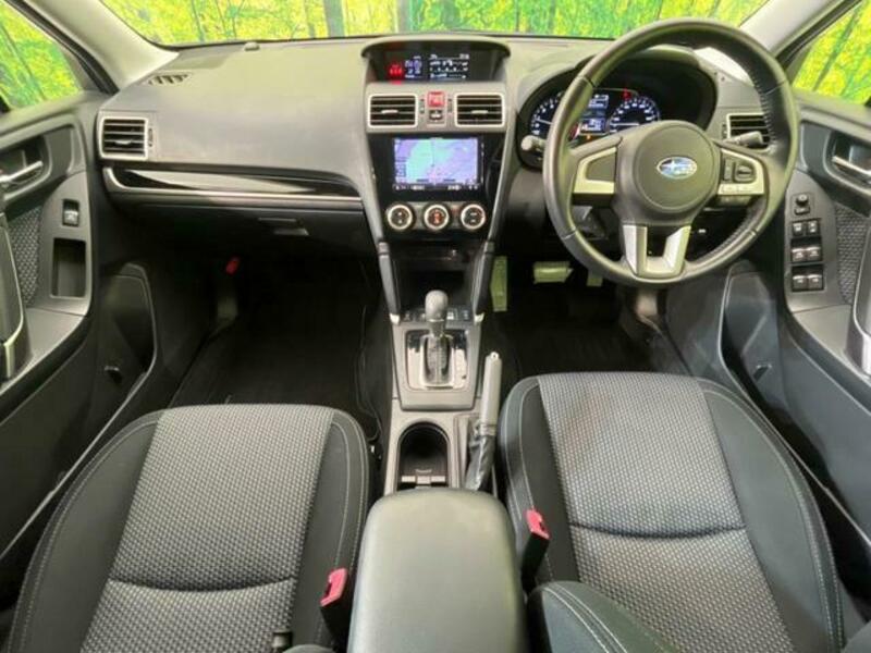 FORESTER-1