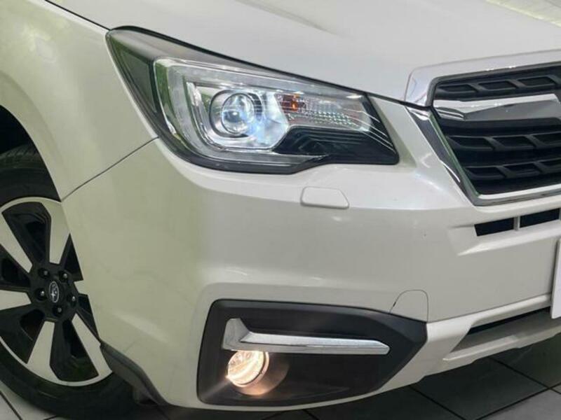 FORESTER-11