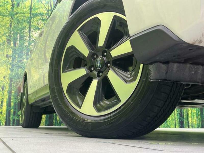 FORESTER-12