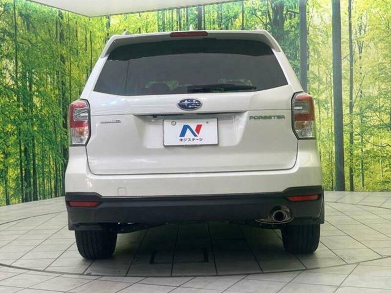 FORESTER-14