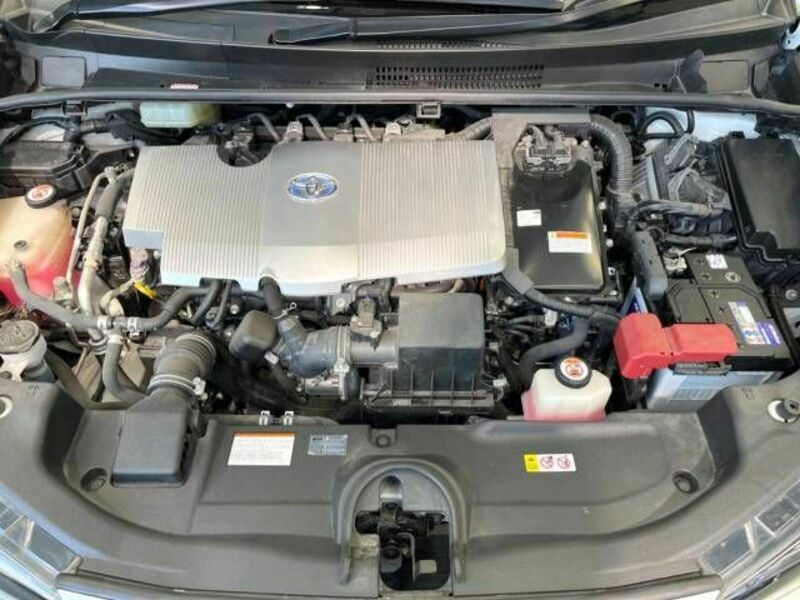 PRIUS-17