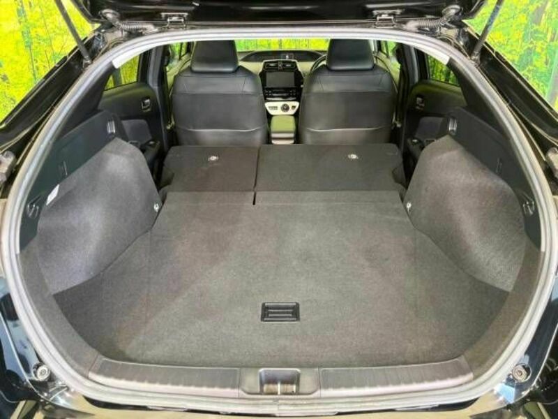 PRIUS-9