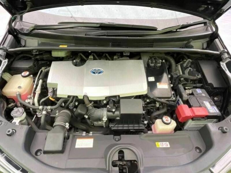 PRIUS-17