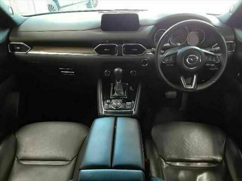 CX-8-1