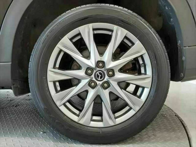 CX-8