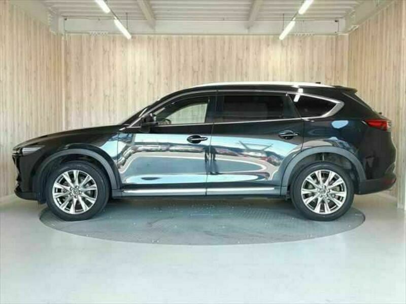 CX-8
