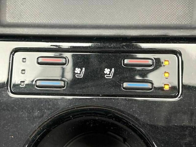 PRIUS-7